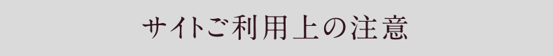 サイトご利用上の注意